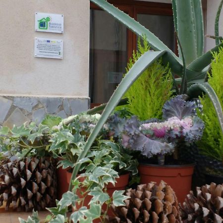Albergue Turistico Tierras Altas Fuentes de Magana Dış mekan fotoğraf